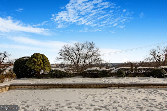 view of snowy yard