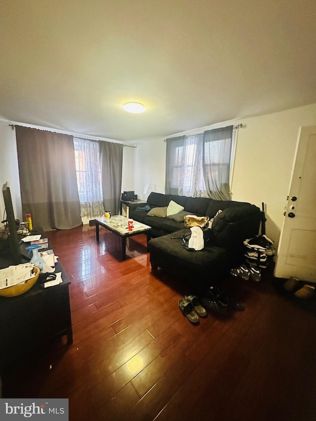 living room with dark hardwood / wood-style floors