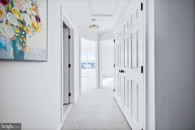 hall featuring light colored carpet