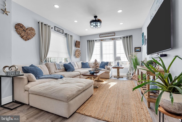 living room with hardwood / wood-style floors