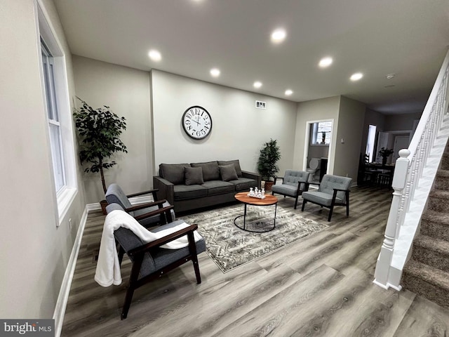 living room featuring wood-type flooring