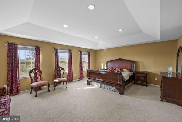 carpeted bedroom featuring a raised ceiling