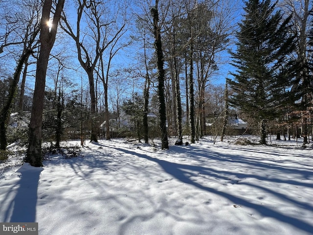 view of yard layered in snow