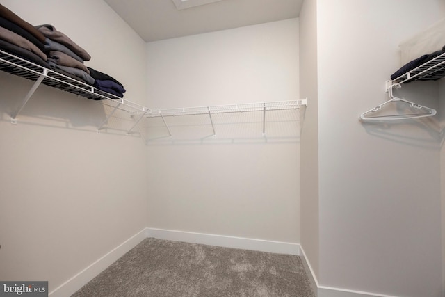 spacious closet with carpet floors