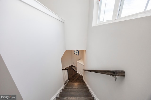 stairway featuring hardwood / wood-style floors