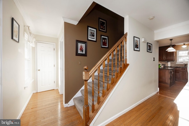 stairs with wood-type flooring and ornamental molding