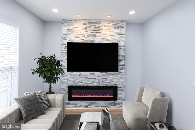 living room featuring wood-type flooring