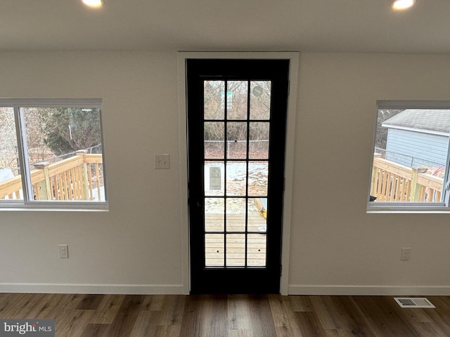 entryway featuring dark hardwood / wood-style floors and a wealth of natural light