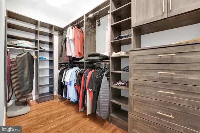 walk in closet featuring light wood finished floors