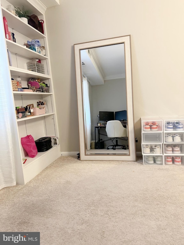 recreation room featuring carpet floors and crown molding