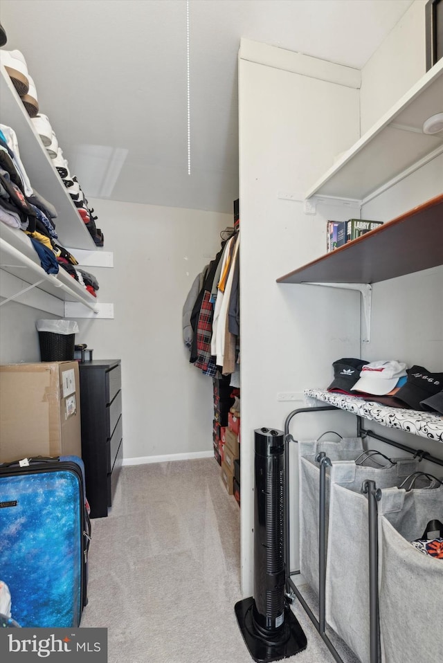 spacious closet featuring light colored carpet