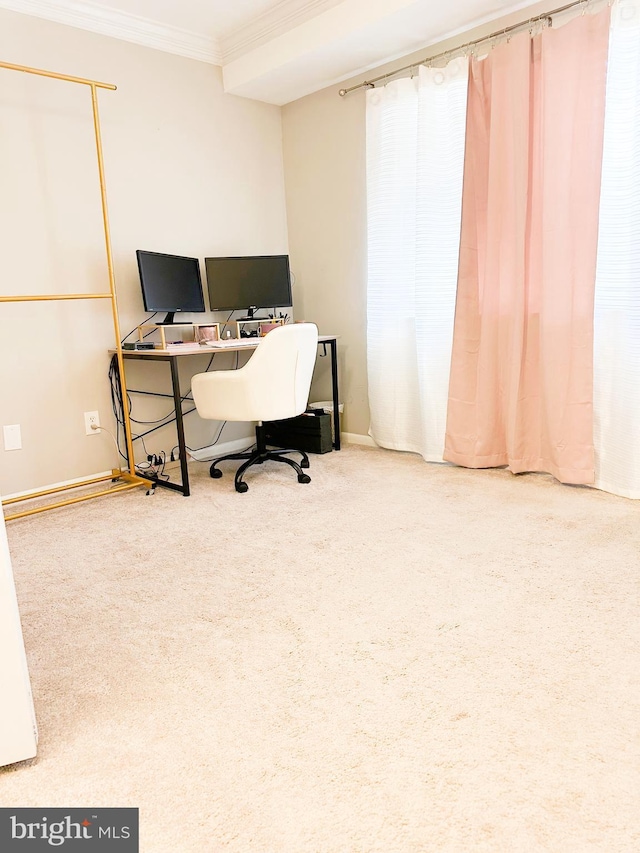 carpeted office featuring ornamental molding