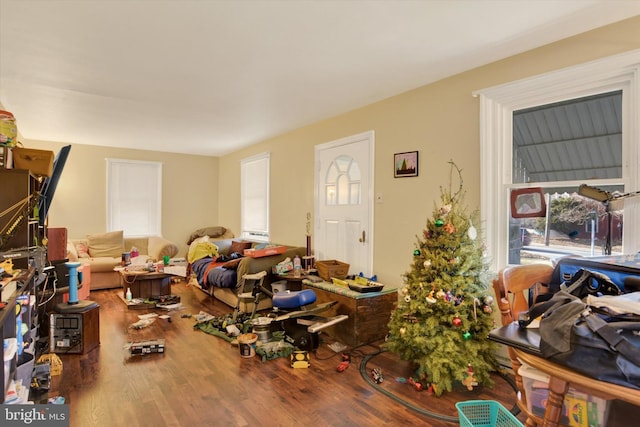 misc room with plenty of natural light and hardwood / wood-style flooring