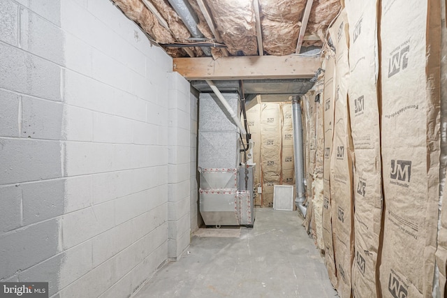 basement with heating unit