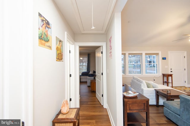 hallway with dark wood-type flooring