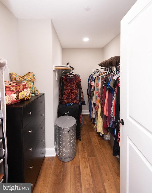 spacious closet featuring hardwood / wood-style flooring