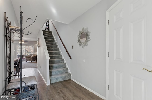 staircase with ceiling fan and wood-type flooring