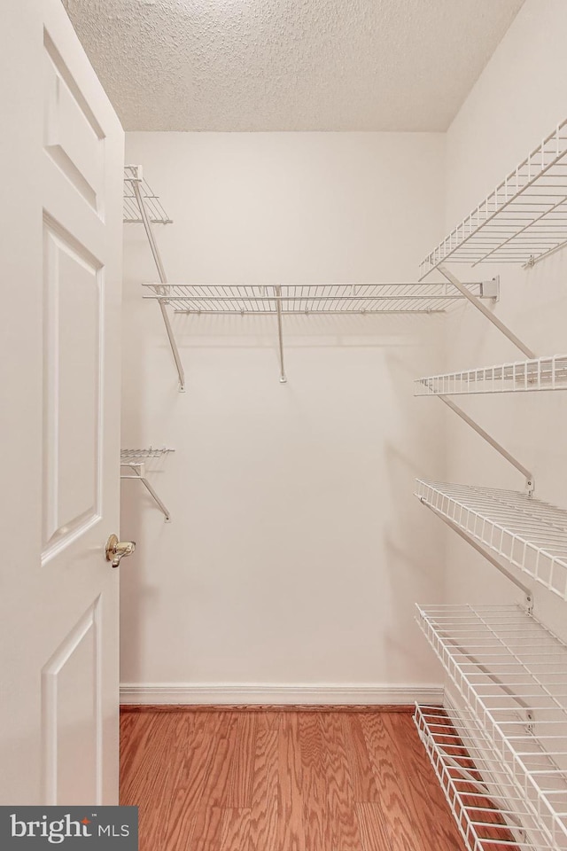 walk in closet featuring hardwood / wood-style flooring