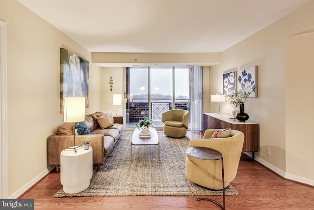 living room featuring hardwood / wood-style flooring