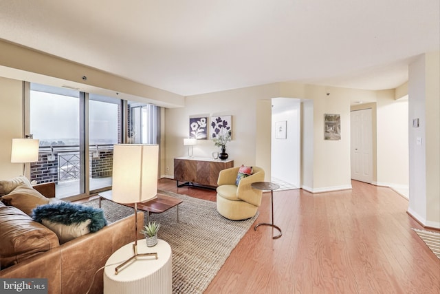 living room featuring wood-type flooring