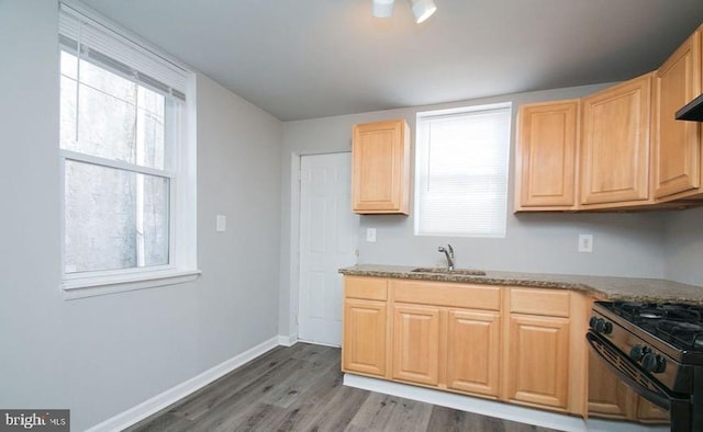 kitchen with wood-type flooring, sink, black gas stove, and a healthy amount of sunlight