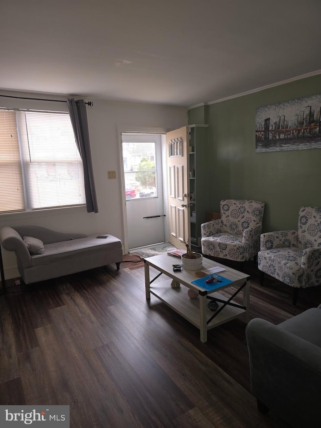 living room with hardwood / wood-style flooring