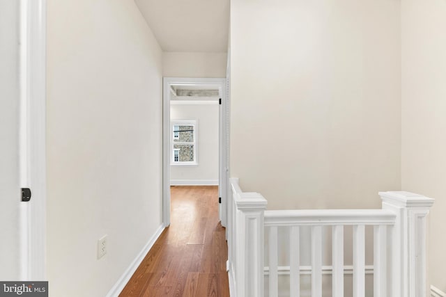 hallway featuring wood-type flooring