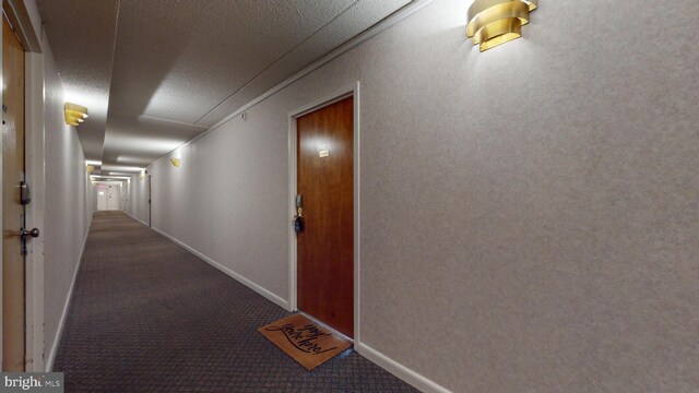 hallway featuring carpet floors