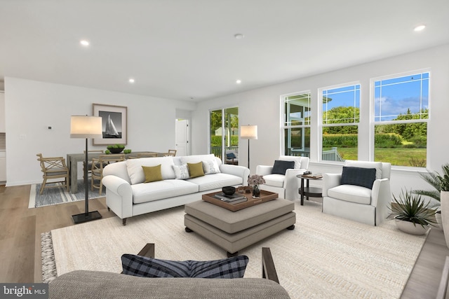 living room featuring a wealth of natural light and light hardwood / wood-style floors