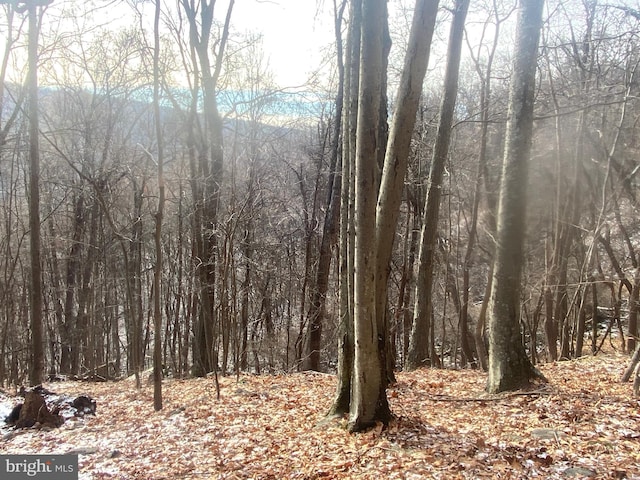 14600 Williams Rd SE, Cumberland, MD 21502