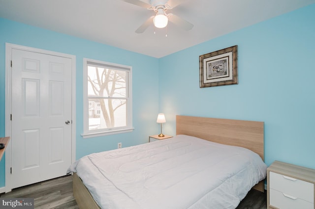 bedroom featuring ceiling fan and dark hardwood / wood-style flooring