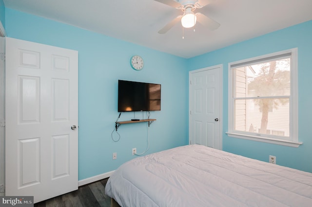 bedroom featuring multiple windows, dark hardwood / wood-style floors, and ceiling fan