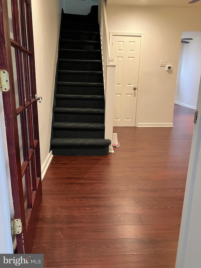 stairway with wood-type flooring