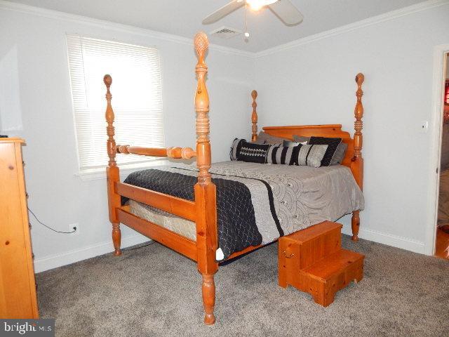 carpeted bedroom featuring multiple windows, ceiling fan, and ornamental molding