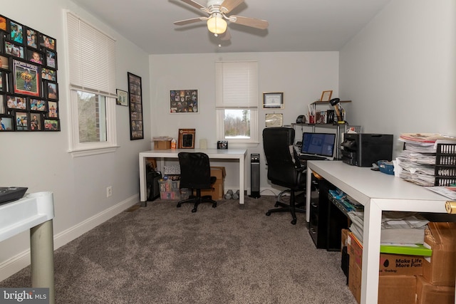 office area with ceiling fan and carpet