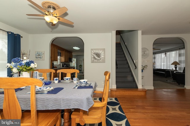 dining area featuring ceiling fan and dark hardwood / wood-style floors