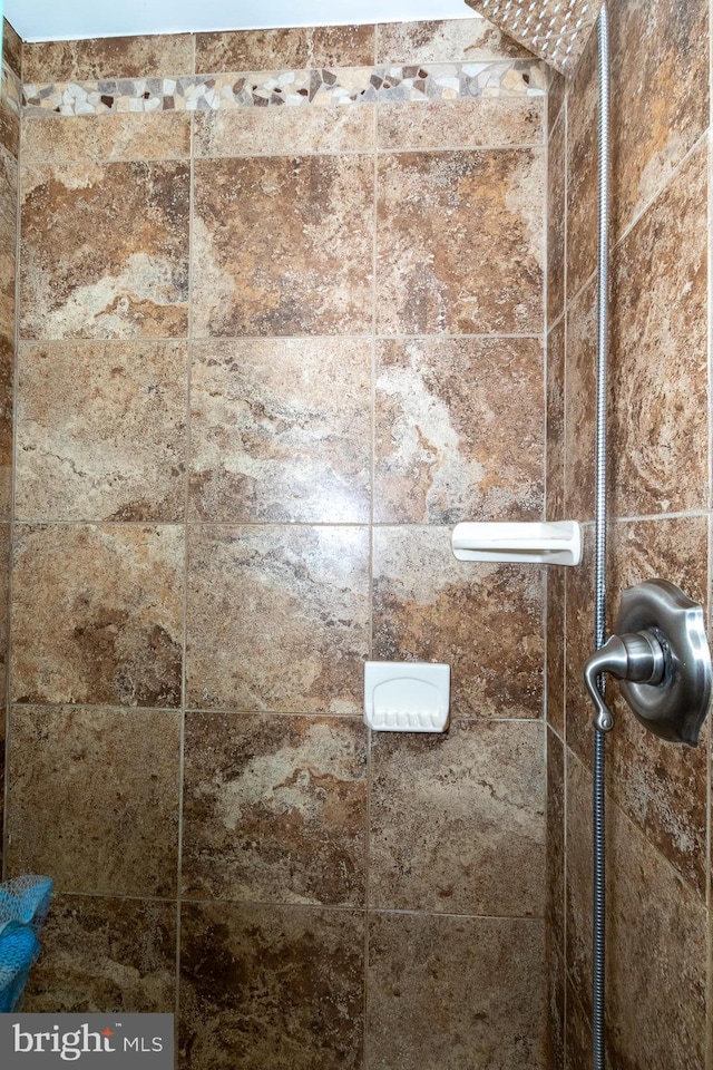 room details with tiled shower