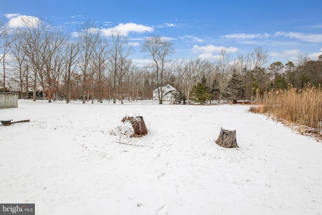 view of yard covered in snow