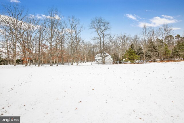 view of snowy yard