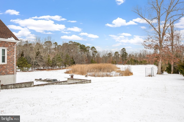 view of yard covered in snow