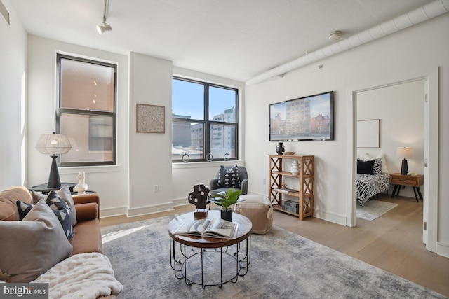 living room featuring light hardwood / wood-style floors