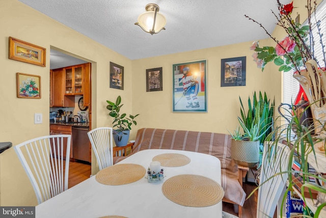 dining room featuring sink, a textured ceiling, light hardwood / wood-style flooring, and a healthy amount of sunlight