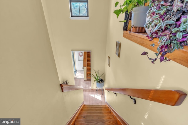 stairs featuring hardwood / wood-style flooring