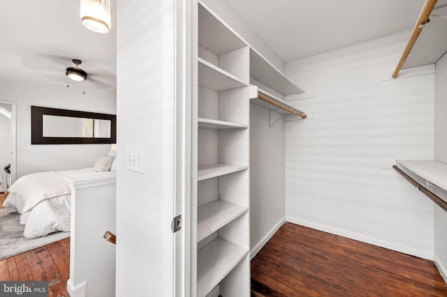 walk in closet with dark hardwood / wood-style floors