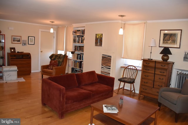 living room featuring light hardwood / wood-style floors and ornamental molding