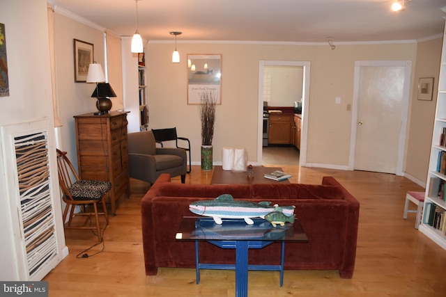 living room featuring ornamental molding and light hardwood / wood-style floors