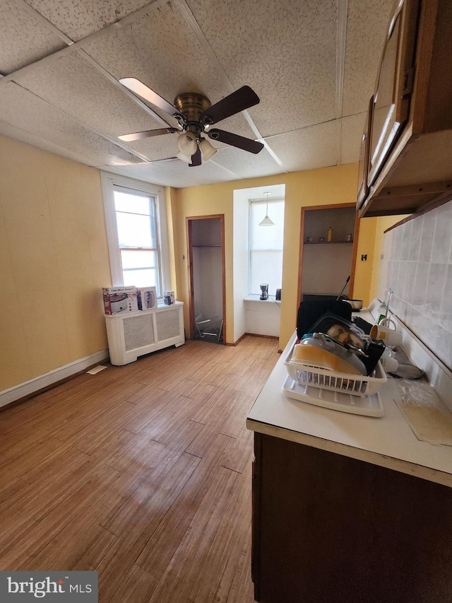 kitchen featuring light wood-type flooring, ceiling fan, a drop ceiling, and dark brown cabinetry