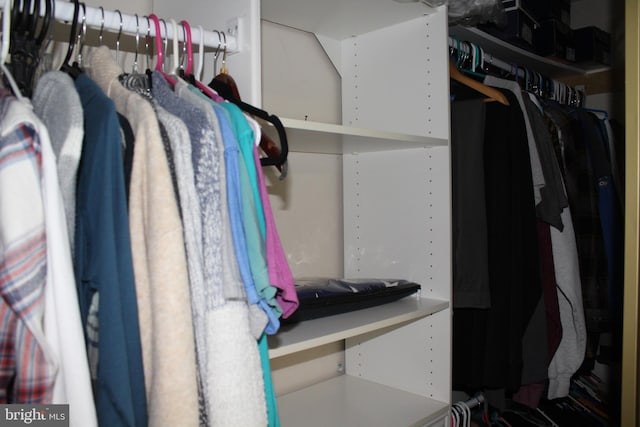 view of spacious closet