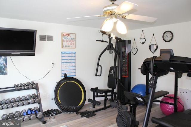 workout room featuring ceiling fan and hardwood / wood-style flooring