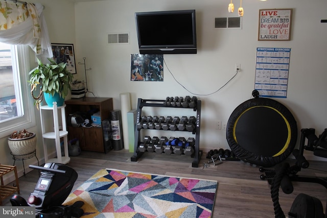 exercise room with hardwood / wood-style floors